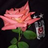 Ismail Ay's profile picture
