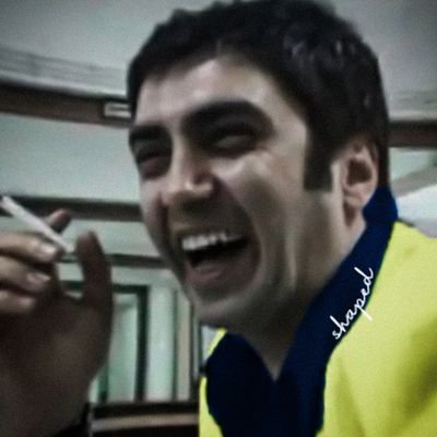 shaped's profile picture