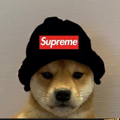 SALTONE's profile picture
