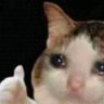 Profilbild von Internet for the Spirit
