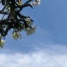 elcolibri profil fotoğrafı