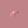 Jacob's profile picture