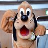 ショータ's profile picture