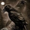 Profilbild von RavenWolf