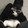 安年 的头像