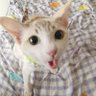 ม่ายยยยยยยยยย's profile picture