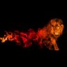 GhostGuru profil fotoğrafı