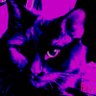 GeekyCinnamonRoll's profile picture