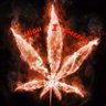 High I Green🍃🕊 的头像