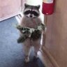 lemon_art_tea's profile picture