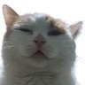 Gabri.el's profile picture