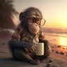 Фото профиля Virgin monkey