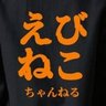 えびねこちゃんねる🍤's profile picture