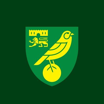 Norwich City Academy's profile picture