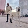 mehmet pınaroğlu 的头像
