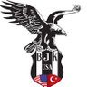 BESİKTASUSA profil fotoğrafı