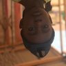 Kwaku Baah 的头像