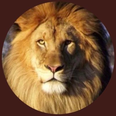 Aishaalkhulaifi's profile picture