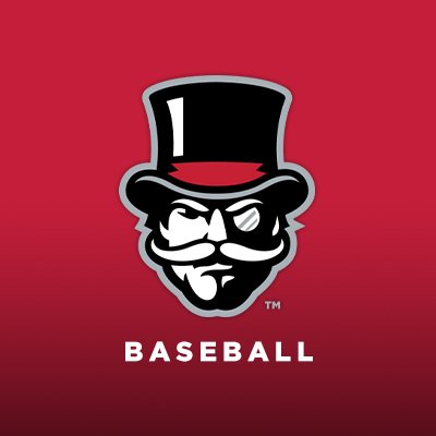 GovsBSB's profile picture