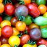 Euro_Fresh Veg_Mountain 🇪🇺🍅 profil fotoğrafı