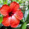 Emma Emma profil fotoğrafı