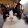 Profilbild von claudia chavez