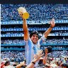 Profilbild von Maradona Maradona