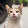 benzZzene profil fotoğrafı