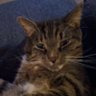 Profilbild von andrew alt