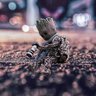 Salvador profil fotoğrafı