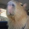 Walter's profile picture