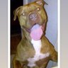 BigJerk profil fotoğrafı