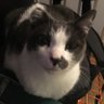 Profilbild von Le Kule