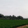عابر سبيل 的头像