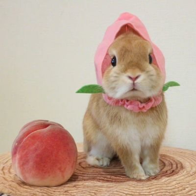 umesouy's profile picture