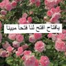 ﷺ ℜ𝔄𝔊ℌ𝔇⸅ ﷺ ░▒▓█ الحمد لله █▓▒░'s profile picture