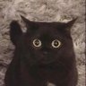 Drano's profile picture