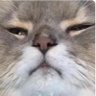 Profilbild von mediopicky