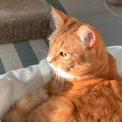 섬 ⛵️🕯️'s profile picture