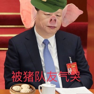 Xixiong73889890's profile picture