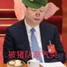 Profilbild von Xixiong
