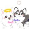 りあ🐾 ▶︎5つの自由 for Animal's profile picture