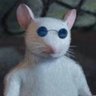 neto's profile picture