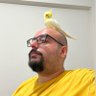 Dr. Fatih Dindar's profile picture