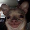 ZacksitoTuTerror's profile picture
