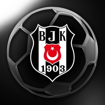 Beşiktaş JK Futbol Akademisi's profile picture