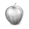 Profilbild von Apfel