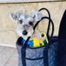 REO's profile picture