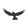 Freebird06's profile picture