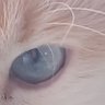 Doris Domen profil fotoğrafı